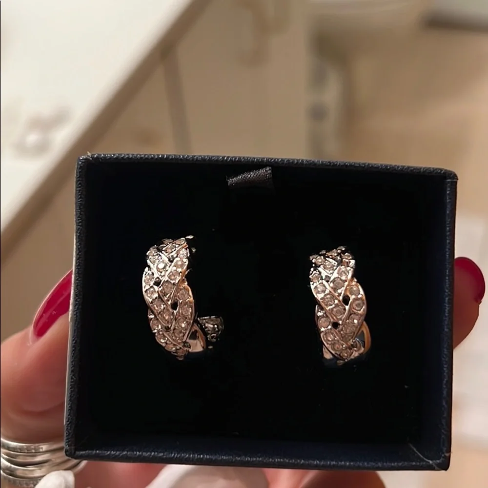 New, hooped earrings, never worn